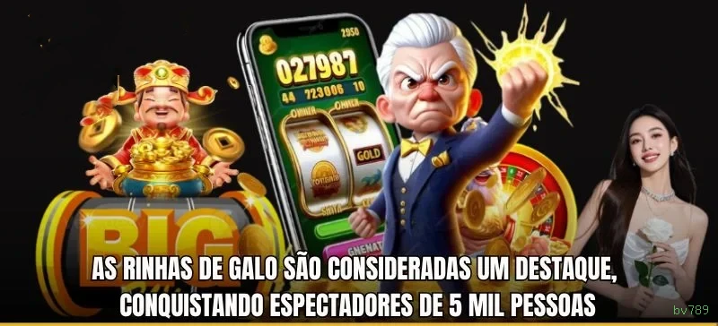 Bônus e prêmios bv789